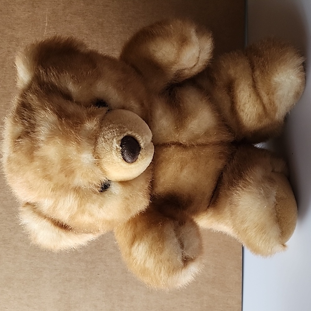Main Joy Limited, super soft Teddy Bear.